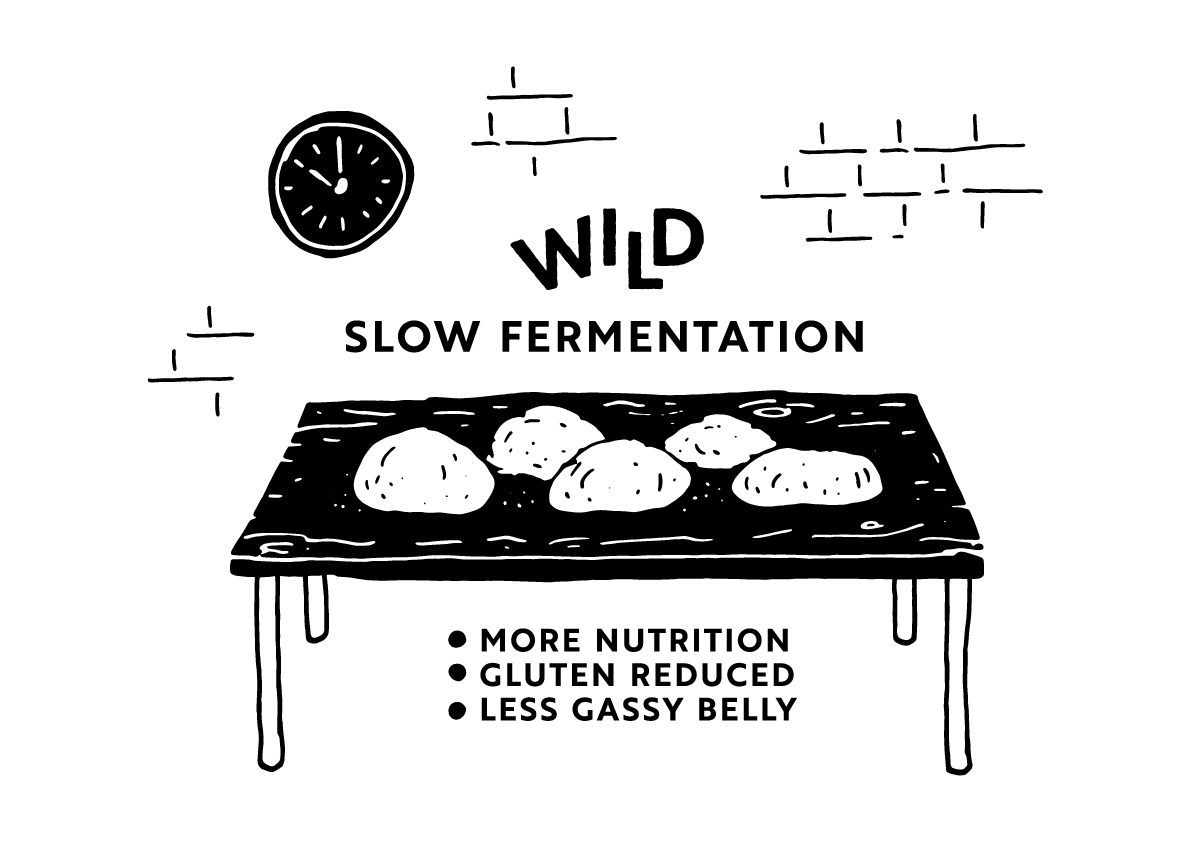 Slow Fermentation